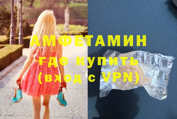 гашик Вяземский