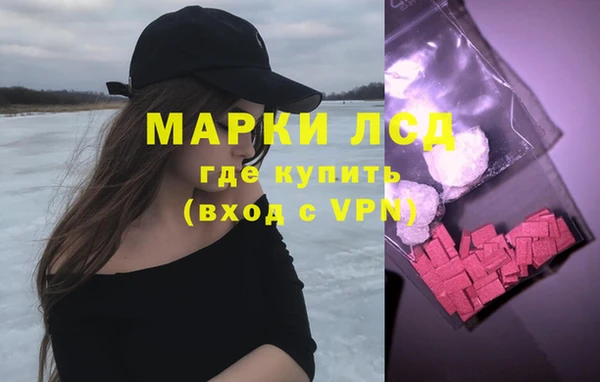 гашик Вяземский