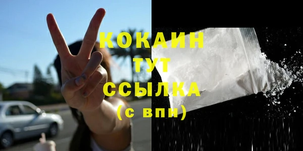 гашик Вяземский