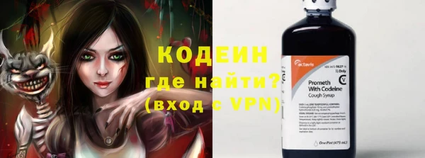 гашик Вяземский