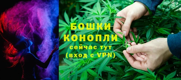 сатива Вязники