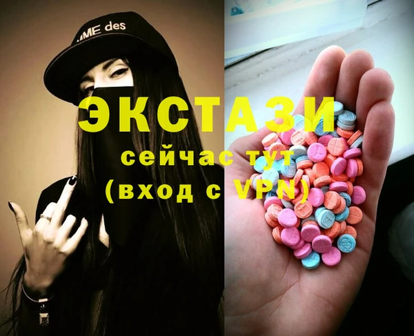 гашик Вяземский