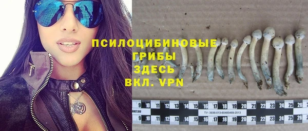 PSILOCYBIN Вязьма