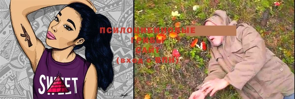 сатива Вязники