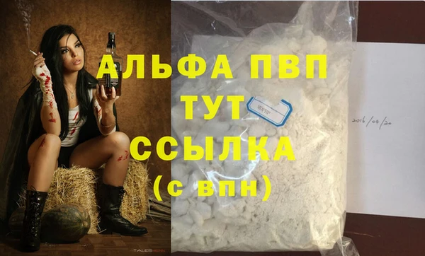 PSILOCYBIN Вязьма