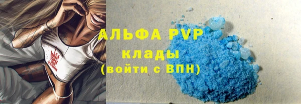 PSILOCYBIN Вязьма
