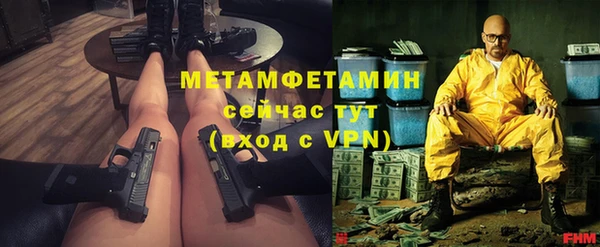 гашик Вяземский