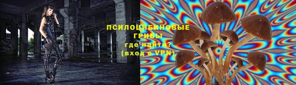 PSILOCYBIN Вязьма