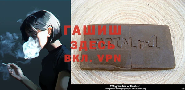 гашик Вяземский
