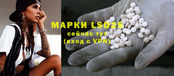 гашик Вяземский