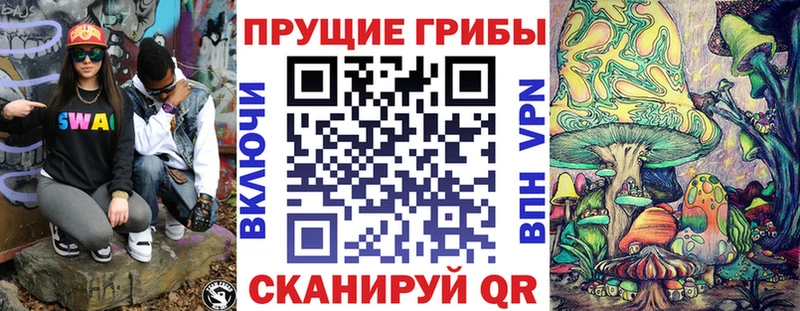 Галлюциногенные грибы MAGIC MUSHROOMS  продажа наркотиков  Оренбург 