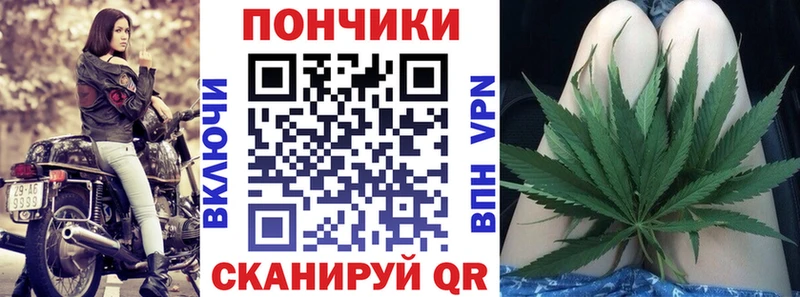 где продают наркотики  Оренбург  Шишки марихуана Amnesia 